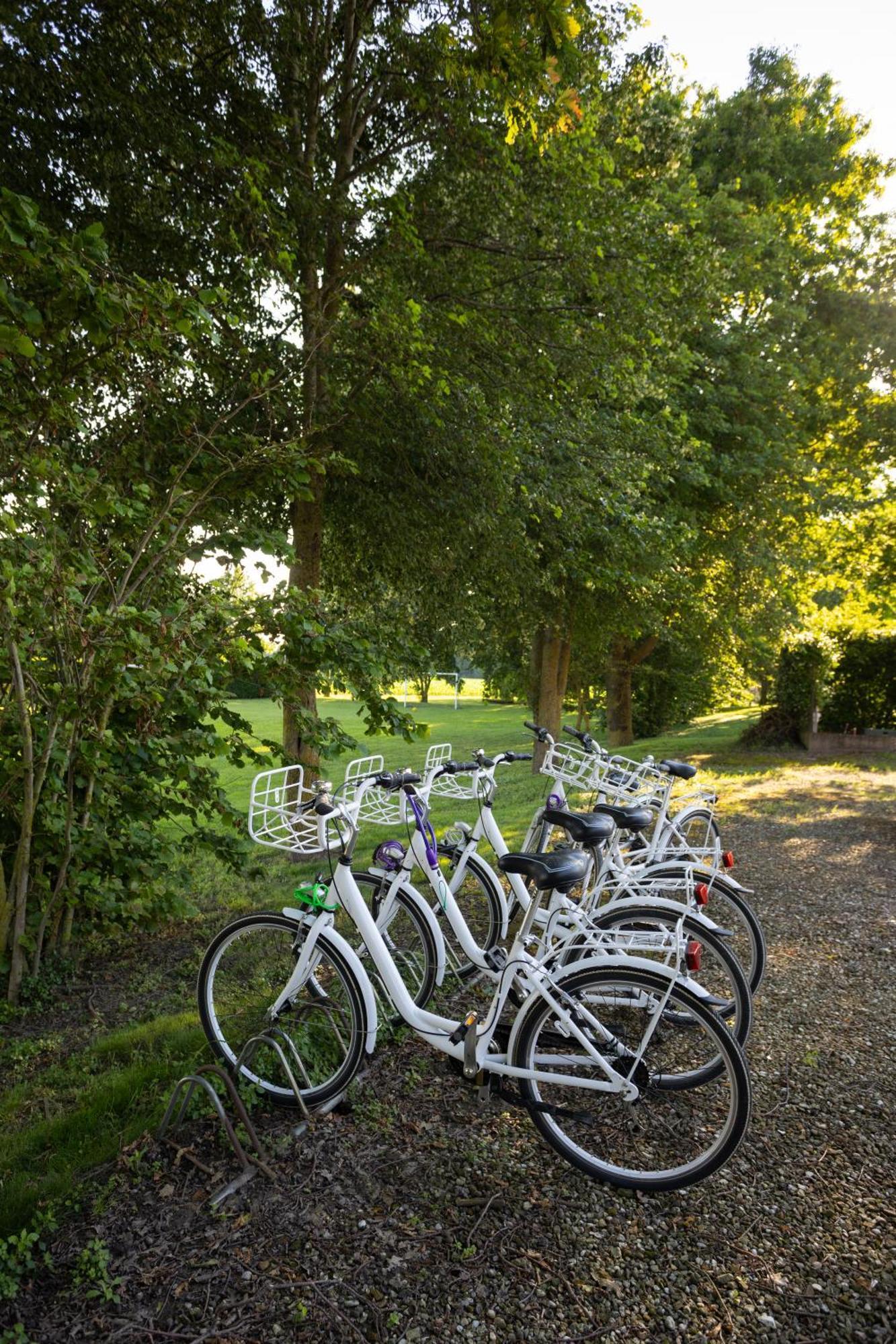 Agriturismo Zennare Chioggia Exteriér fotografie
